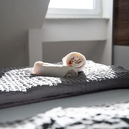 Casa Loma I Ganzes Mit Balkon 公寓 腓特烈港